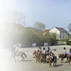 Ecole D'equitation De Chesny