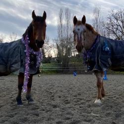 Ecole D Equitation De Genebrieres