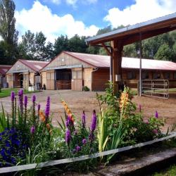 Ecole D Equitation De St Avold