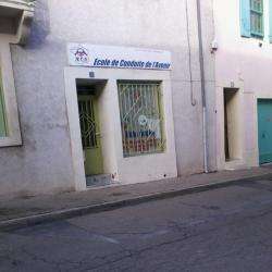 Ecole De Conduite De L'avenir