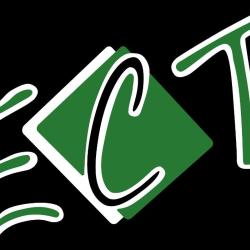 Ect