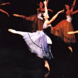 Ecole De Danse Palmyre Romanov