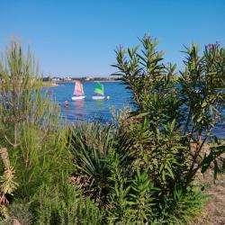 Ecole De Voile De Bouzigues