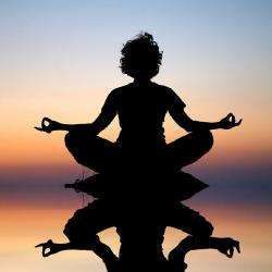 Ecole De Yoga Des Carmes