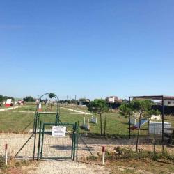Ecole Des 4 Pattes