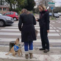école De Chiens Guides De Paris