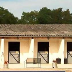 Ecole Equestre Du Scheidstein