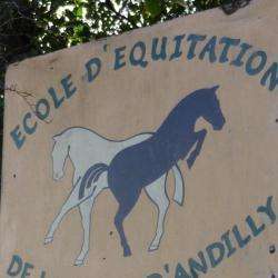 Ecole Equitation De La Foret