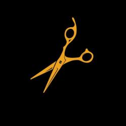 Ecole Professionnelle Privée De Coiffure