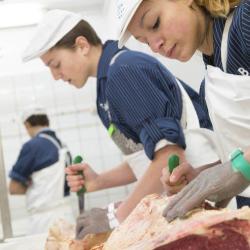 Ecole Professionnelle De La Boucherie