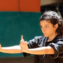 Ecole Tigre Et Dragon - Kungfu Colombelles