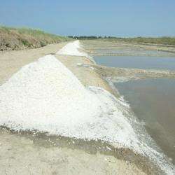 Ecomusee Du Marais Salant