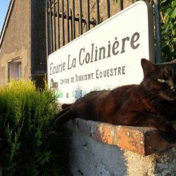 Ecurie La Collinière