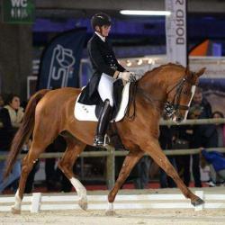 Ecurie De Morenols