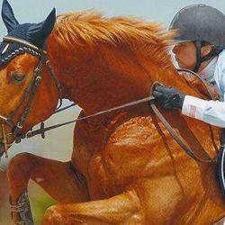 Les Ecuries De Sainval