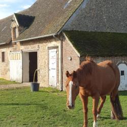 Ecurie Des Clotins