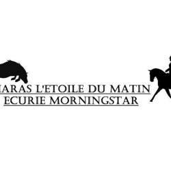 Haras L'étoile Du Matin