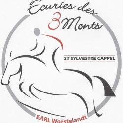 Ecurie Woestelandt