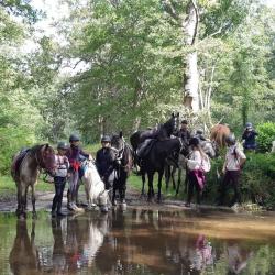 Ecuries De Beauvallon