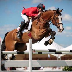 Ecuries Du Cheval Musical