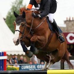 Ecuries Sylvain Frère