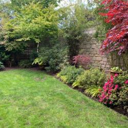 Eden Vatinel