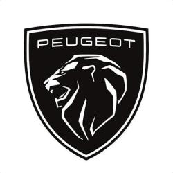 Edenauto Peugeot Hagetmau