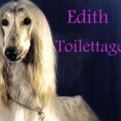 Edith Toilettage