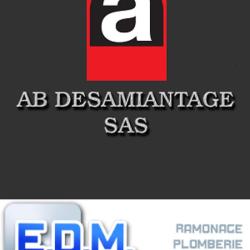 Edm Services