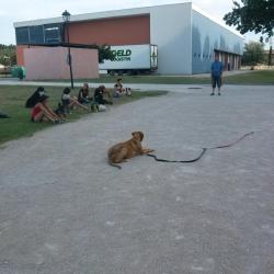 Educa'dog