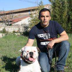 Education Canine Franck Rubi