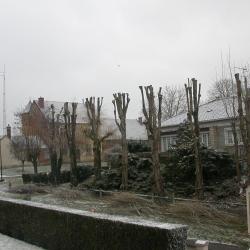 E.f.b Paysage