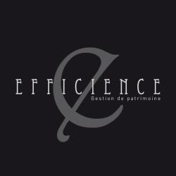 Efficience Groupe