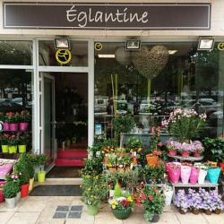 Eglantine