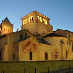 Eglise Abbatiale St Martin D'ainay