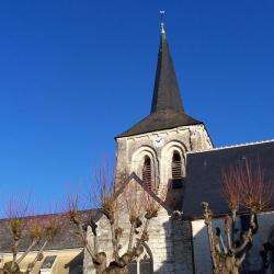église