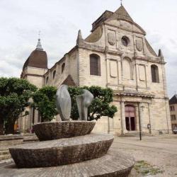 Eglise Saint Georges De Vesoul