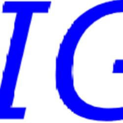 Eigi