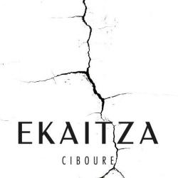 Ekaitza