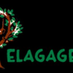Elagage 33