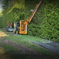 Elagage De France Suivi Arboricole