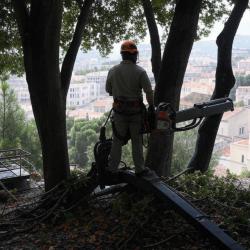 élagage Et Abattage Marseille