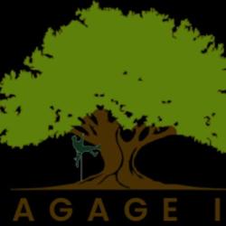 Elagage I.l 95