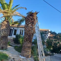 élagage Nîmes