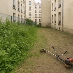 élagage Paris