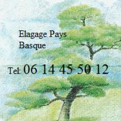 Elagage Pays Basque