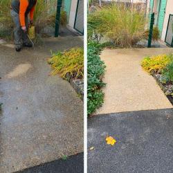 Elagage Services Paris | Hoerter