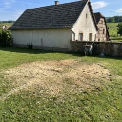élagage, Taille De Haies & Abattage Strasbourg - élagueur Grimpeur Bas-rhin 67