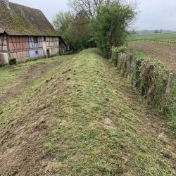 élagage, Taille De Haies & Abattage Strasbourg - élagueur Grimpeur Bas-rhin 67