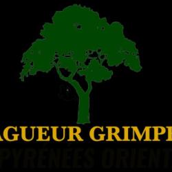 élagueur Grimpeur Dans Le 66